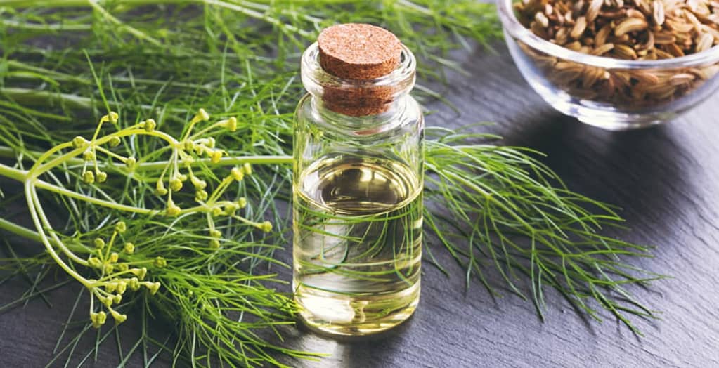 Traditional Remedies: Crushed Fennel Seed Oil in Ancient Medicine 2 crushed fennel seed, saunf seeds, cracked fennel seed, allergy medicine