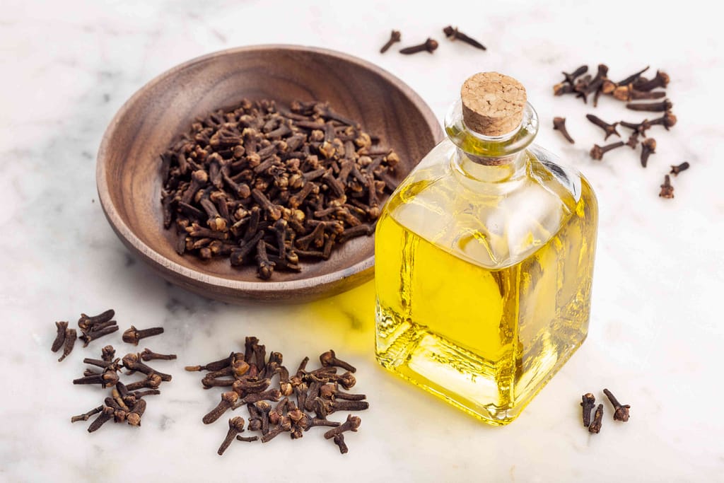 From Pain Relief to Skin Care: DIY Clove Oil Bulk Recipes for Natural Healing 2 clove oil bulk, pure clove oil, spiritual healing, healing place