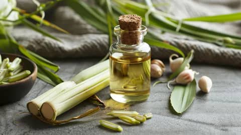 Blending Lemongrass Oil with Complementary Oils Like Lavender Oil and Peppermint 2 lavender oil, lavender massage oil, lemongrass essential oil, organic lemongrass oil