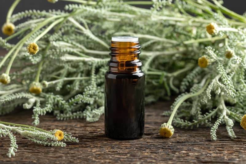 Unlock the Skin Benefits of Vetiver Oil: Treat Acne, Scars, and Signs of Aging Naturally 2 vetiver oil, grey vetiver, dark spot remover, spot treatment