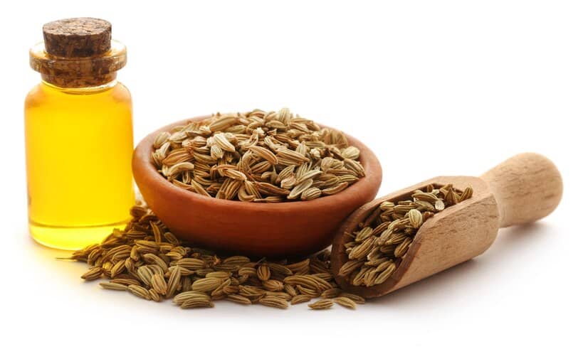 Traditional Remedies: Crushed Fennel Seed Oil in Ancient Medicine 3 crushed fennel seed, saunf seeds, cracked fennel seed, allergy medicine
