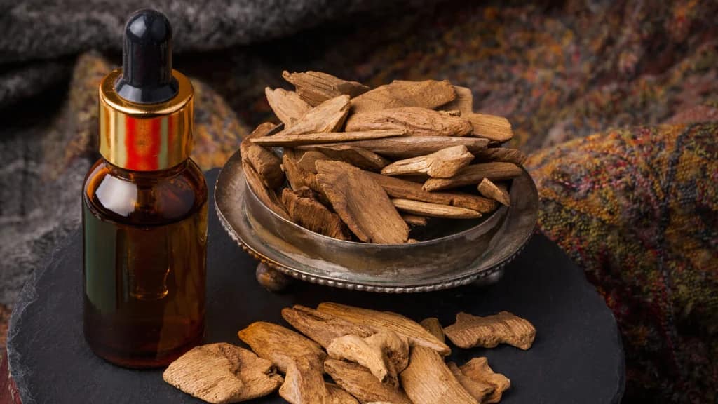 globalessentialoil.id